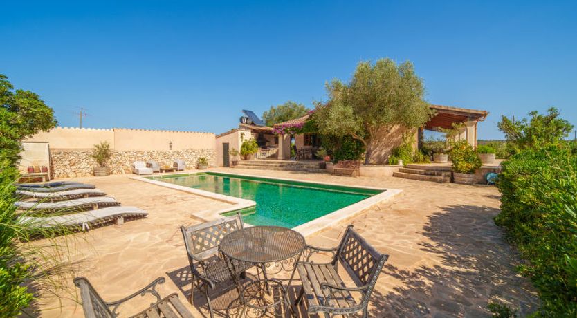 Photo of San Blai Llum de Sal