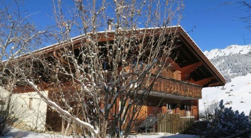 Photo of Silberdistel