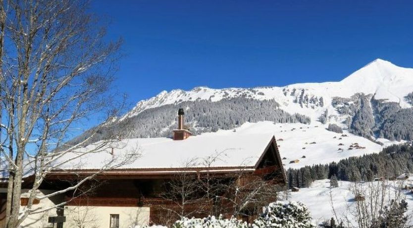 Photo of Silberdistel