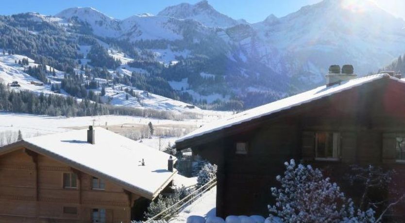 Photo of Silberdistel