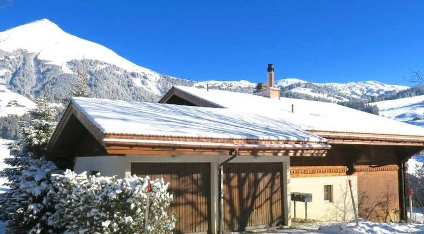 Photo of Silberdistel