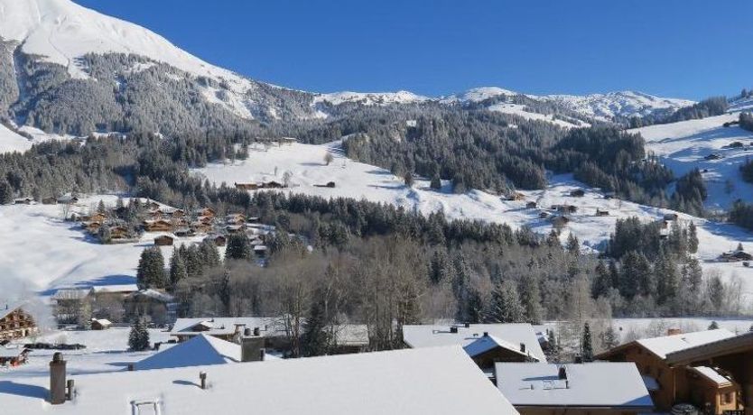 Photo of Silberdistel