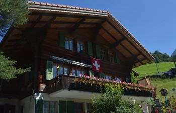 Chalet Zimmermann Holiday Home