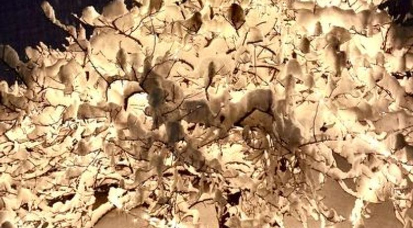 Photo of Ferienwohnung Gehrihorn