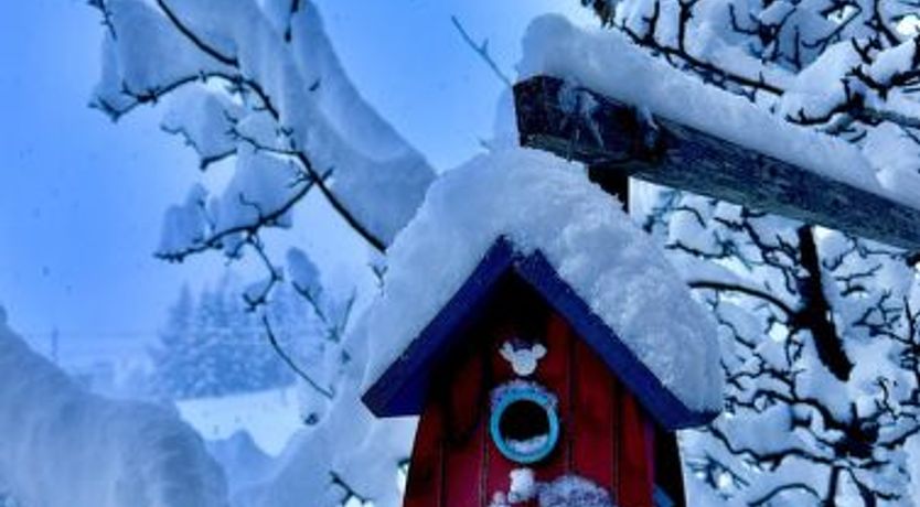 Photo of Ferienwohnung Gehrihorn