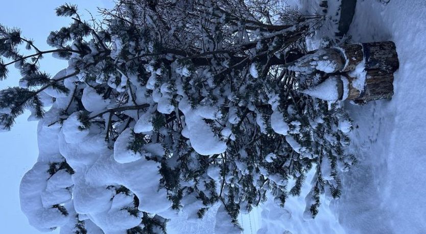 Photo of Ferienwohnung Gehrihorn