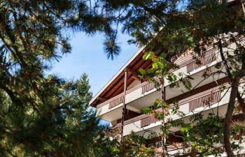 Everest Holiday Home