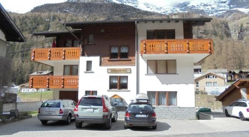 Photo of Silberdistel