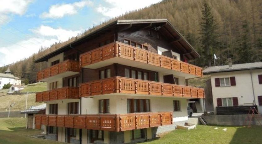 Photo of Silberdistel