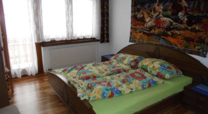 Photo of Silberdistel