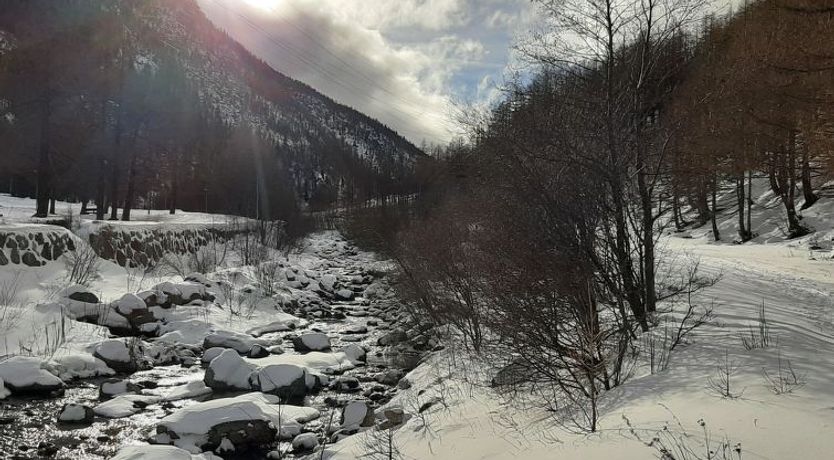 Photo of Alpin Smile