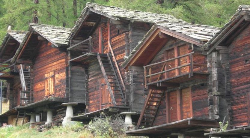 Photo of Ferienhaus Alea