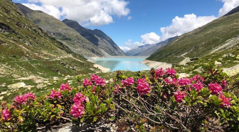 Photo of Ferienhaus Alea