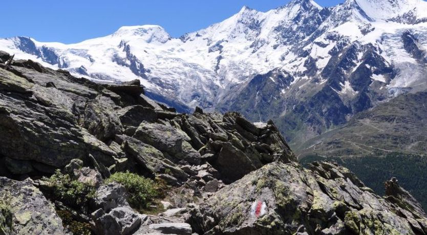 Photo of Wiedersehen