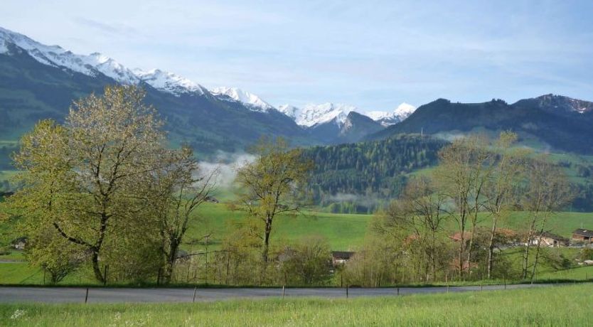 Photo of Ferienhaus Niesen View