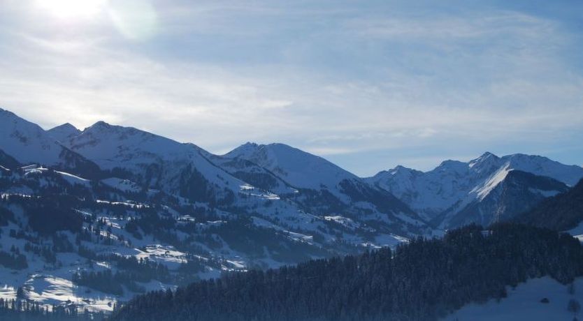 Photo of Ferienhaus Niesen View