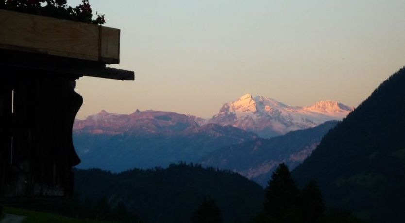 Photo of Ferienhaus Niesen View