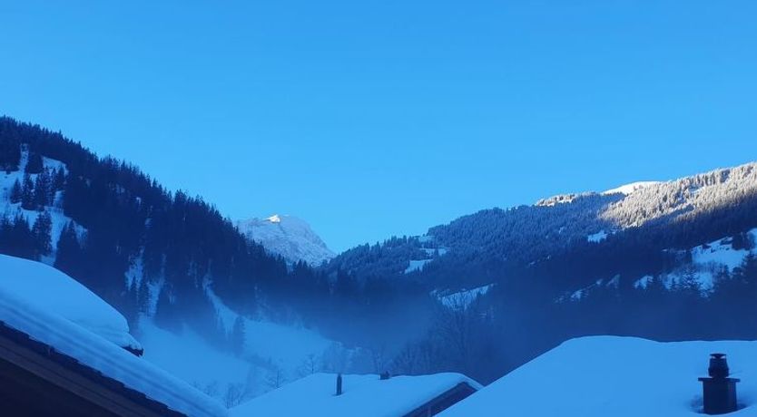 Photo of Chalet Lenk Dänk App. 6