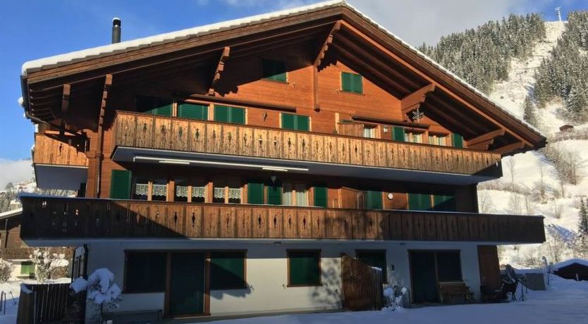 Photo of Chalet Lenk Dänk App. 6