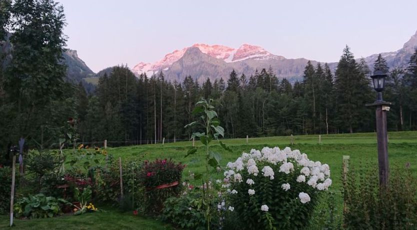 Photo of Trachsel-Huus