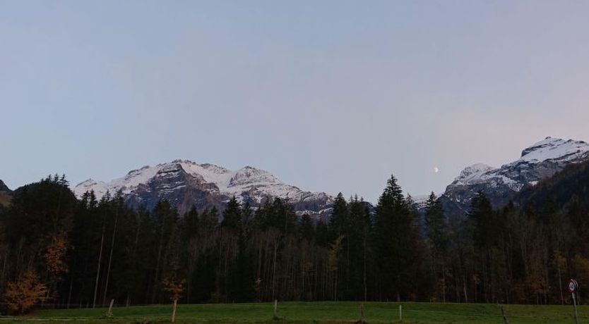 Photo of Trachsel-Huus