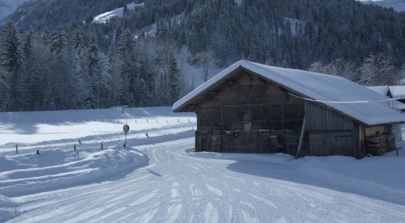 Photo of Trachsel-Huus