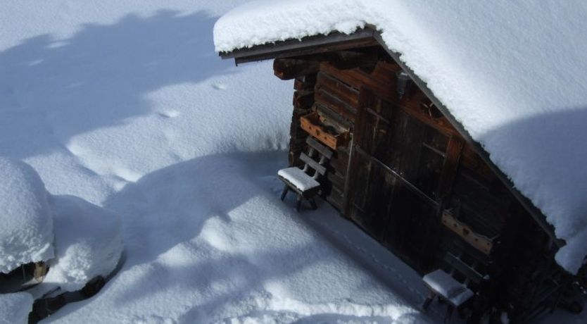 Photo of Trachsel-Huus