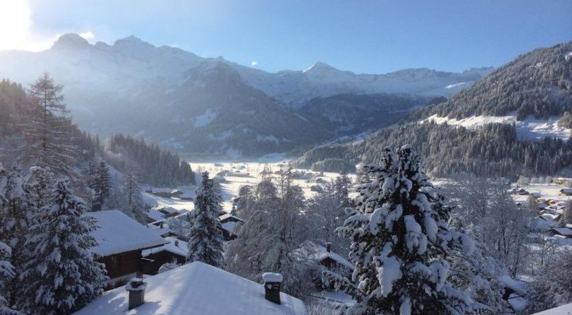 Photo of Steirösli 1. & 2. Stock