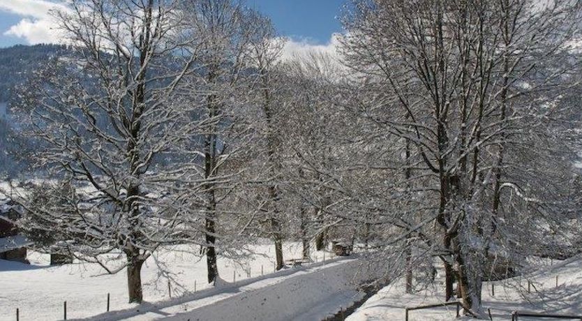 Photo of Pony 5-Bettwohnung