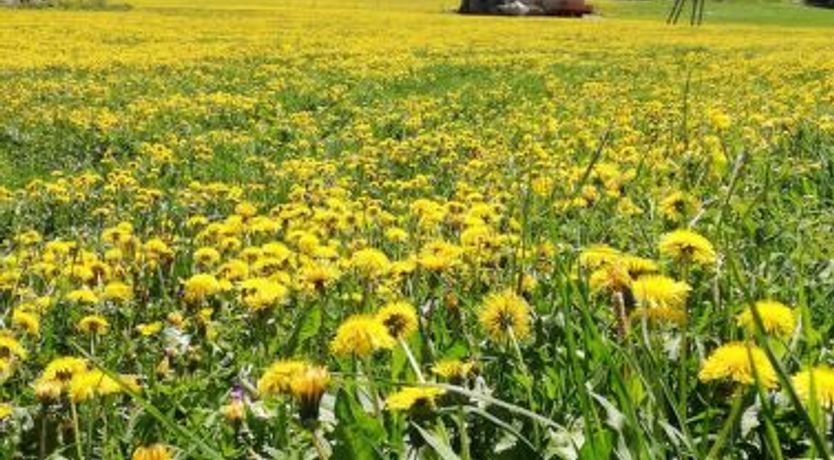 Photo of Kari's Schüür