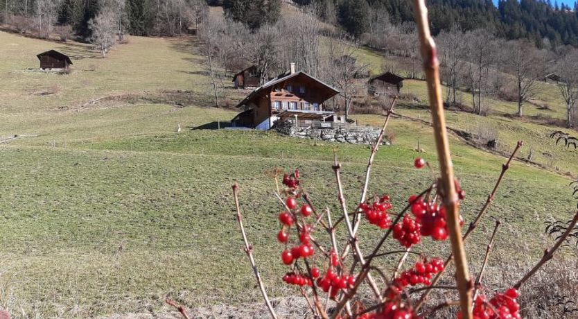 Photo of Kari's Schüür