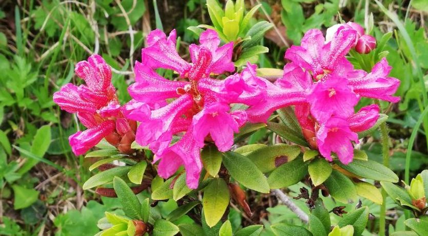 Photo of Kari's Schüür