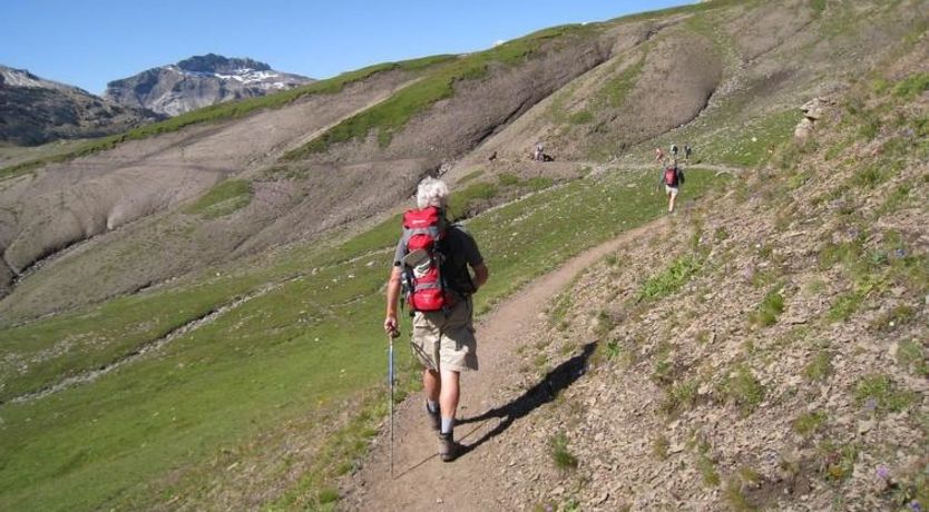 Photo of Sumpfbödeli