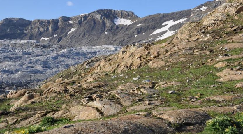 Photo of Sumpfbödeli