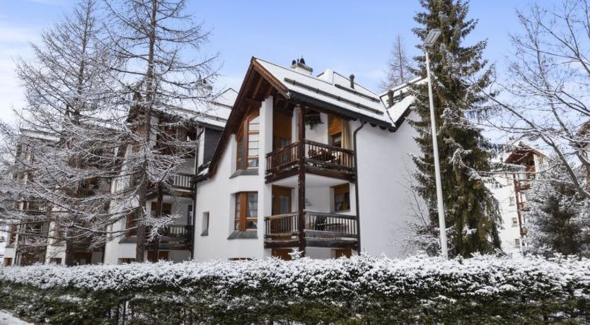 Photo of Schweizerhof 501 Mü