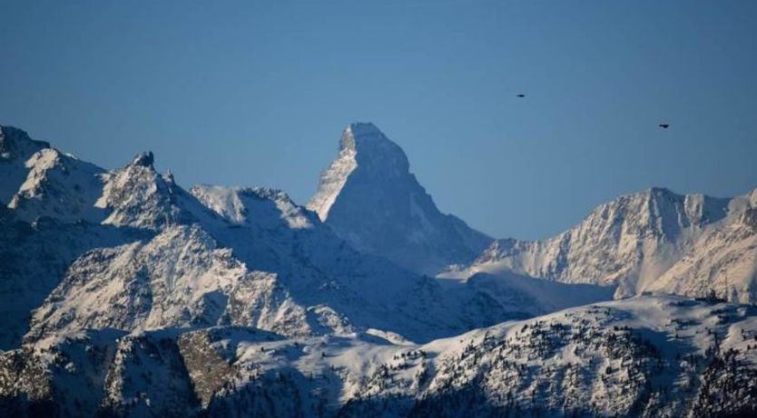 Photo of Bärgblüemli 1. OG West