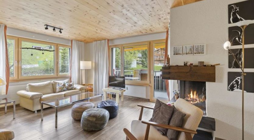 Photo of Triangel D Paijmans