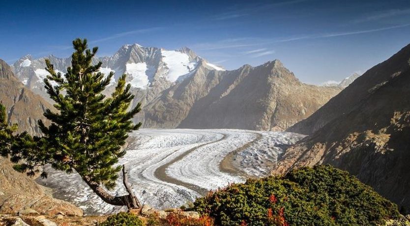 Photo of Alphütte Bielerhüs