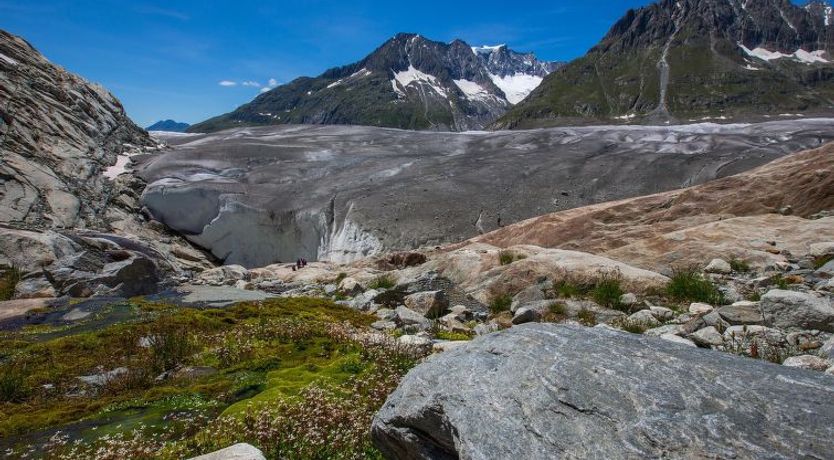 Photo of Alphütte Bielerhüs