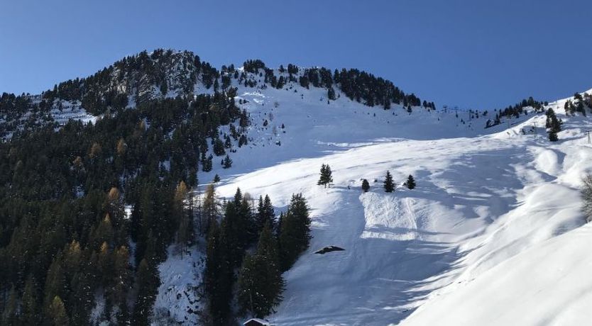 Photo of Almenrausch 1. OG Süd-Ost