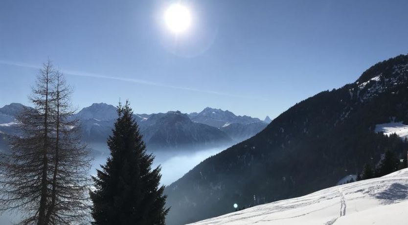 Photo of Almenrausch 1. OG Süd-Ost