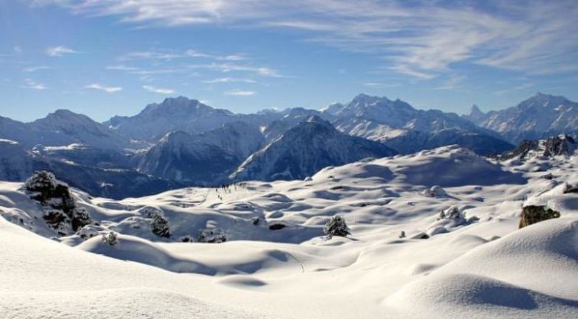 Photo of Almenrausch 2. OG Süd-Ost