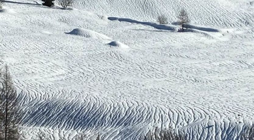 Photo of Almenrausch 2. OG Süd-Ost