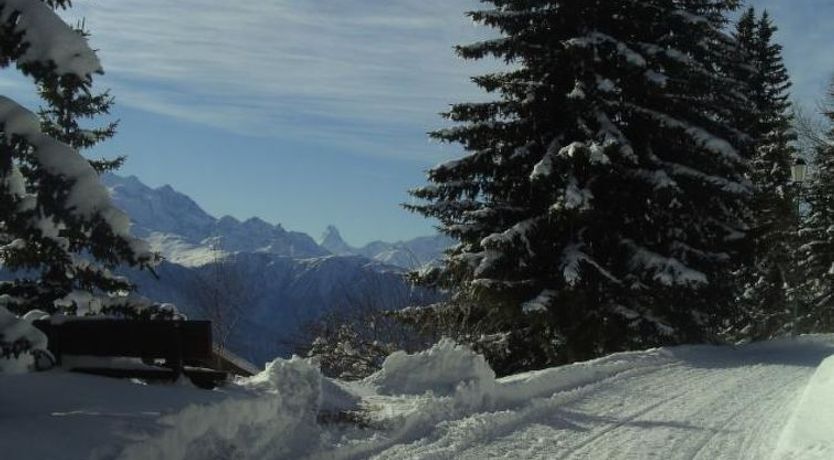 Photo of Almenrausch 2. OG Süd-West