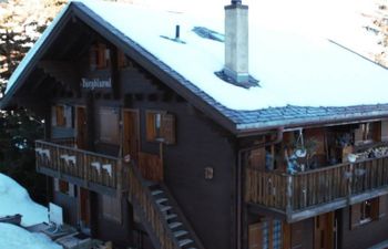 Bärgblüemli 1. OG Ost Holiday Home