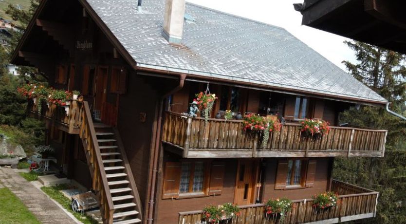 Photo of Bärgblüemli 1. OG Ost