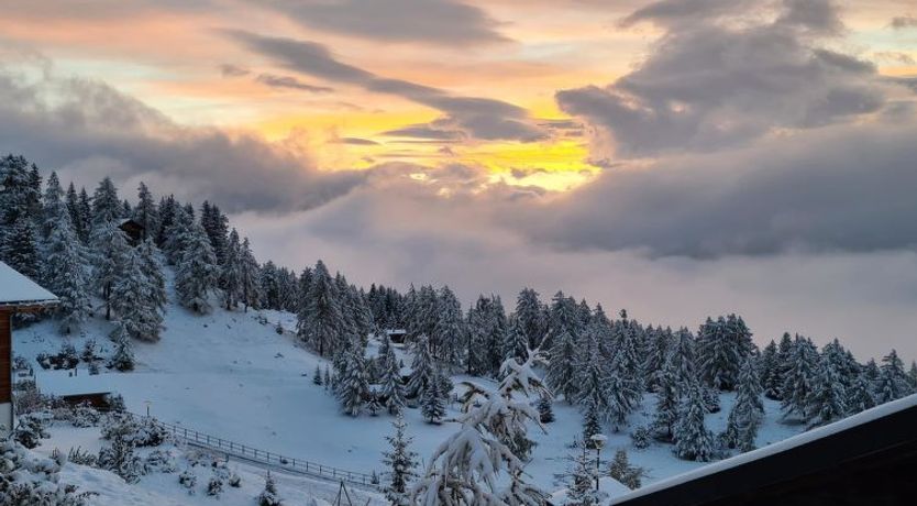 Photo of Jonathan EG Süd