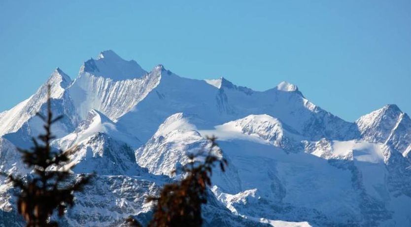 Photo of Bärgblüemli EG Süd