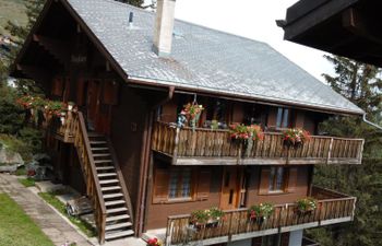 Bärgblüemli 2. OG Ost Holiday Home
