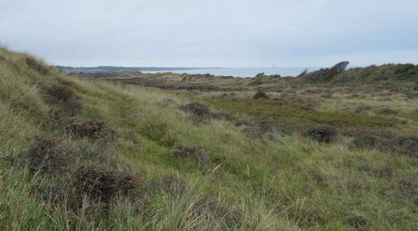 Photo of "Amadahy" - 950m from the sea
